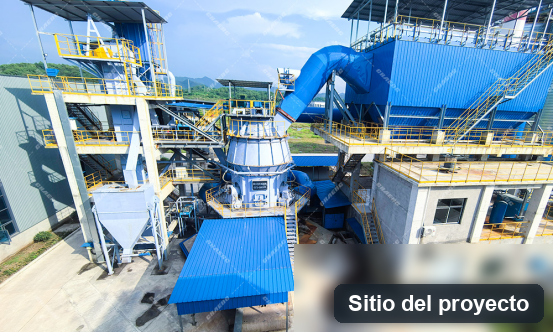 Molino vertical de rodillos para talco: resultados reales tras 3 meses de operación